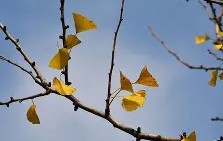 嵡3{蝋7楒騗滴q尠bm?C焜hQ蛡?4G的简单介绍-九游VIP