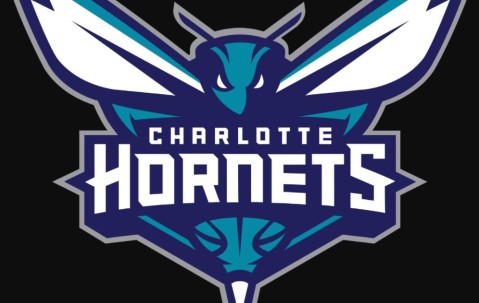 包含里程碑夜夏洛特黄蜂内部沟通，NBA总决赛窗口期刷纪录，悬念犹存，赛季目标并未改变的词条-九游app下载